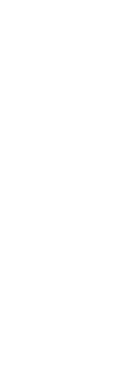 seo_text